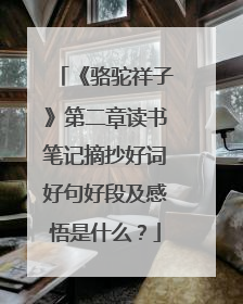 《骆驼祥子》第二章读书笔记摘抄好词好句好段及感悟是什么?