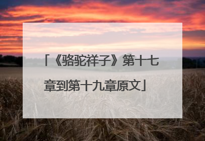 《骆驼祥子》第十七章到第十九章原文