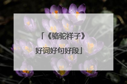 《骆驼祥子》好词好句好段