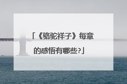 《骆驼祥子》每章的感悟有哪些?