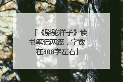 《骆驼祥子》读书笔记两篇，字数在300字左右