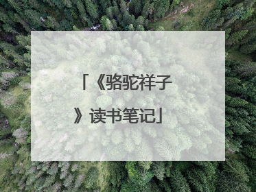 《骆驼祥子》读书笔记