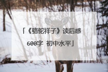 《骆驼祥子》读后感 600字 初中水平