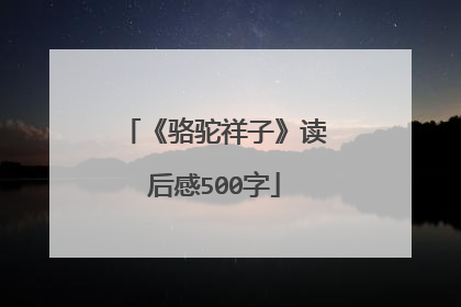 《骆驼祥子》读后感500字
