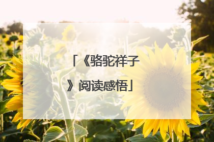 《骆驼祥子》阅读感悟