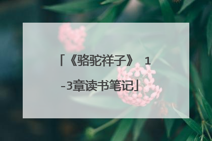 《骆驼祥子》 1-3章读书笔记