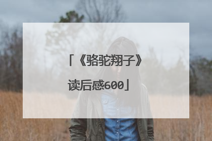 《骆驼翔子》读后感600