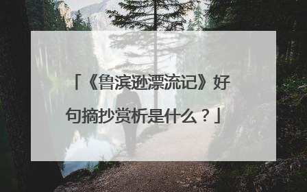 《鲁滨逊漂流记》好句摘抄赏析是什么？