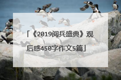 《2019阅兵盛典》观后感450字作文5篇