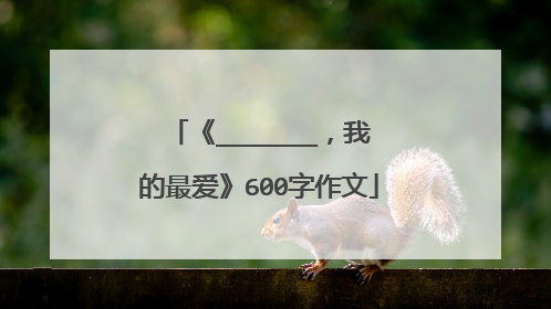 《_______，我的最爱》600字作文