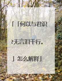 「何以与君识?无言泪千行。」怎么解释