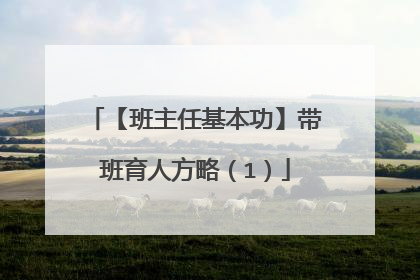 【班主任基本功】带班育人方略（1）