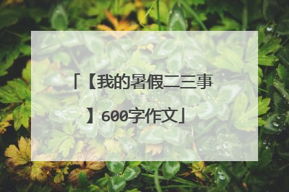 【我的暑假二三事】600字作文