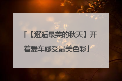 【邂逅最美的秋天】开着爱车感受最美色彩