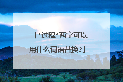 ‘过程’两字可以用什么词语替换?