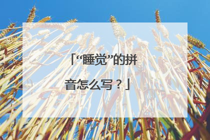 “睡觉”的拼音怎么写?