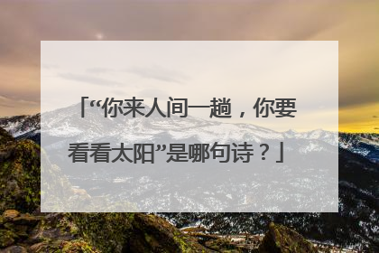 “你来人间一趟,你要看看太阳”是哪句诗?