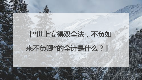 “世上安得双全法，不负如来不负卿”的全诗是什么？