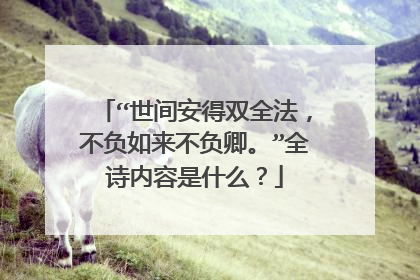 “世间安得双全法，不负如来不负卿。”全诗内容是什么？