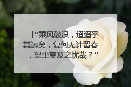 “乘风破浪，迢迢乎其远矣，复何无计留春，望尘莫及之忧哉？”如何翻译与理解?