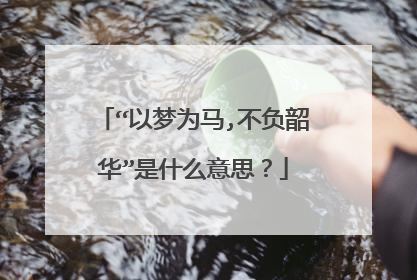 “以梦为马,不负韶华”是什么意思?
