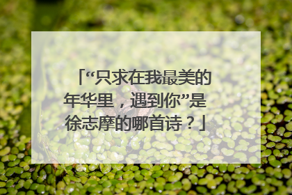 “只求在我最美的年华里，遇到你”是徐志摩的哪首诗？