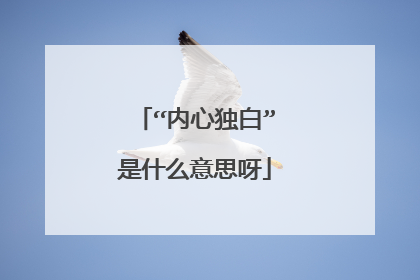 “内心独白”是什么意思呀
