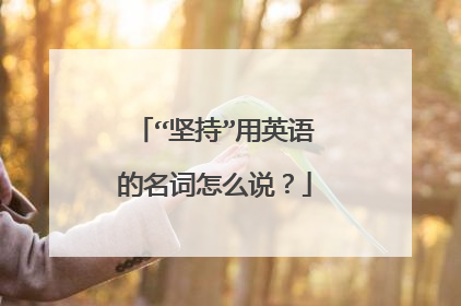 “坚持”用英语的名词怎么说？