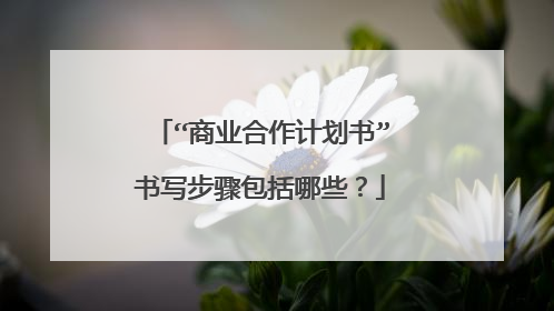 “商业合作计划书”书写步骤包括哪些？