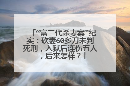 “富二代杀妻案”纪实：砍妻60多刀未判死刑，入狱后连伤五人，后来怎样？