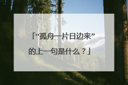 “孤舟一片日边来”的上一句是什么?