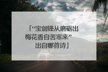 “宝剑锋从磨砺出梅花香自苦寒来”  出自哪首诗