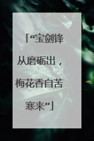 “宝剑锋从磨砺出，梅花香自苦寒来”