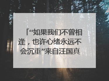 “如果我们不曾相逢，也许心绪永远不会沉重”来自汪国真的哪首诗?