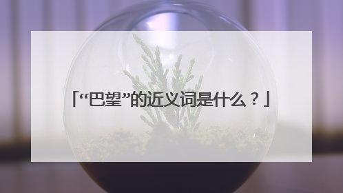 “巴望”的近义词是什么？