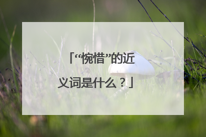 “惋惜”的近义词是什么？