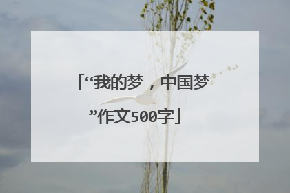 “我的梦，中国梦”作文500字