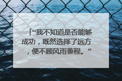 “我不知道是否能够成功，既然选择了远方，便不顾风雨兼程。”的整首诗是什么？