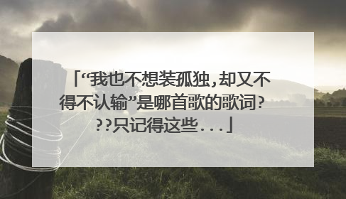 “我也不想装孤独,却又不得不认输”是哪首歌的歌词???只记得这些...