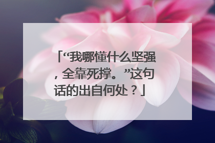 “我哪懂什么坚强，全靠死撑。”这句话的出自何处？