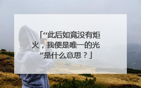 “此后如竟没有炬火，我便是唯一的光”是什么意思？