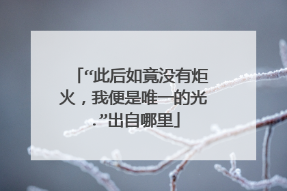 “此后如竟没有炬火，我便是唯一的光.”出自哪里