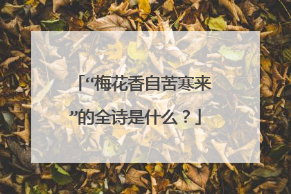 “梅花香自苦寒来”的全诗是什么？