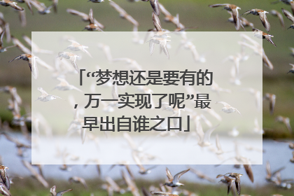 “梦想还是要有的，万一实现了呢”最早出自谁之口