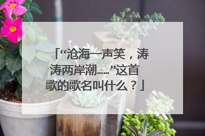 “沧海一声笑，涛涛两岸潮……”这首歌的歌名叫什么？