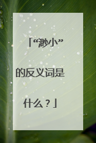 “渺小”的反义词是什么?