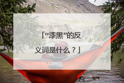 “漆黑”的反义词是什么？