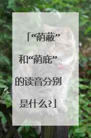 “荫蔽”和“荫庇”的读音分别是什么?