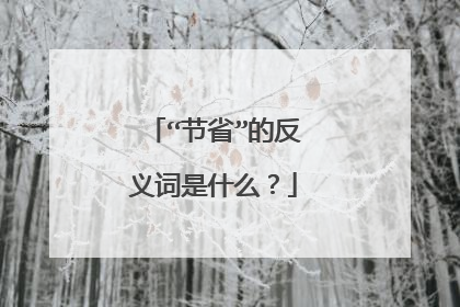 “节省”的反义词是什么？