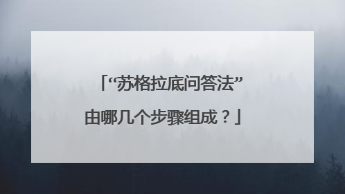 “苏格拉底问答法”由哪几个步骤组成？